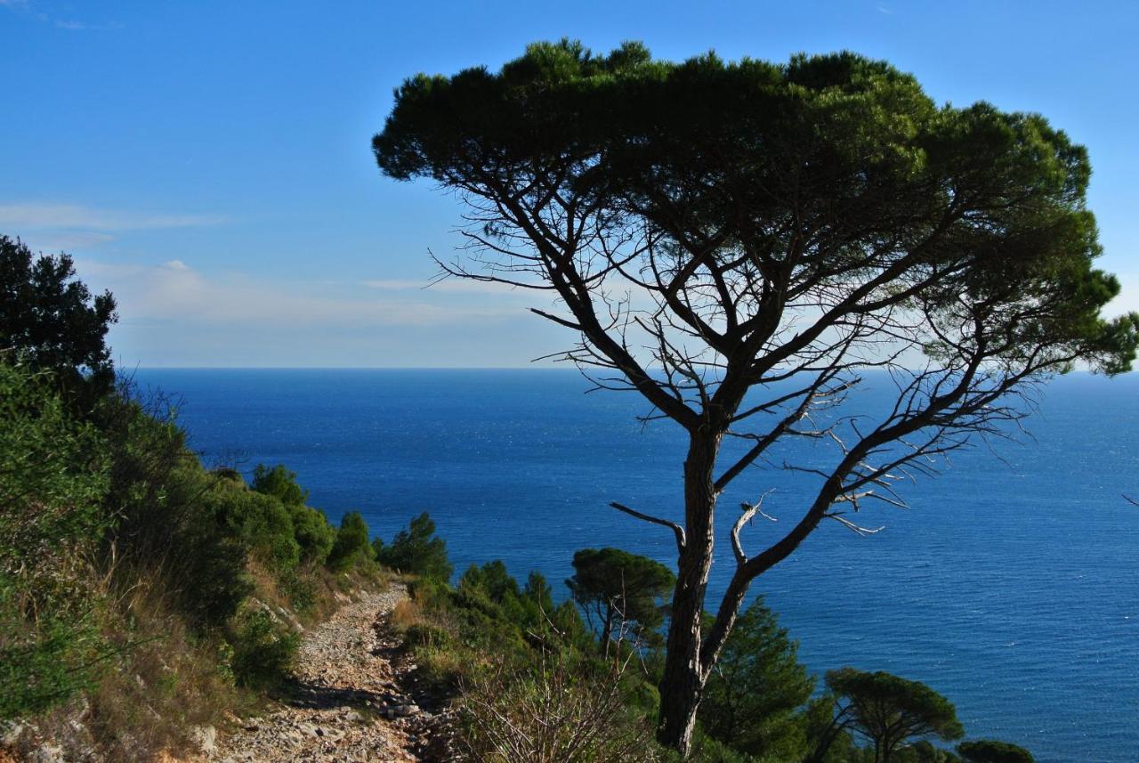 Residence Orchidea Pietra Ligure Exterior photo